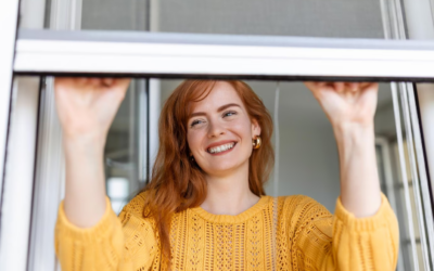 Mosquiteras a Medida: La Solución Perfecta para tu Hogar